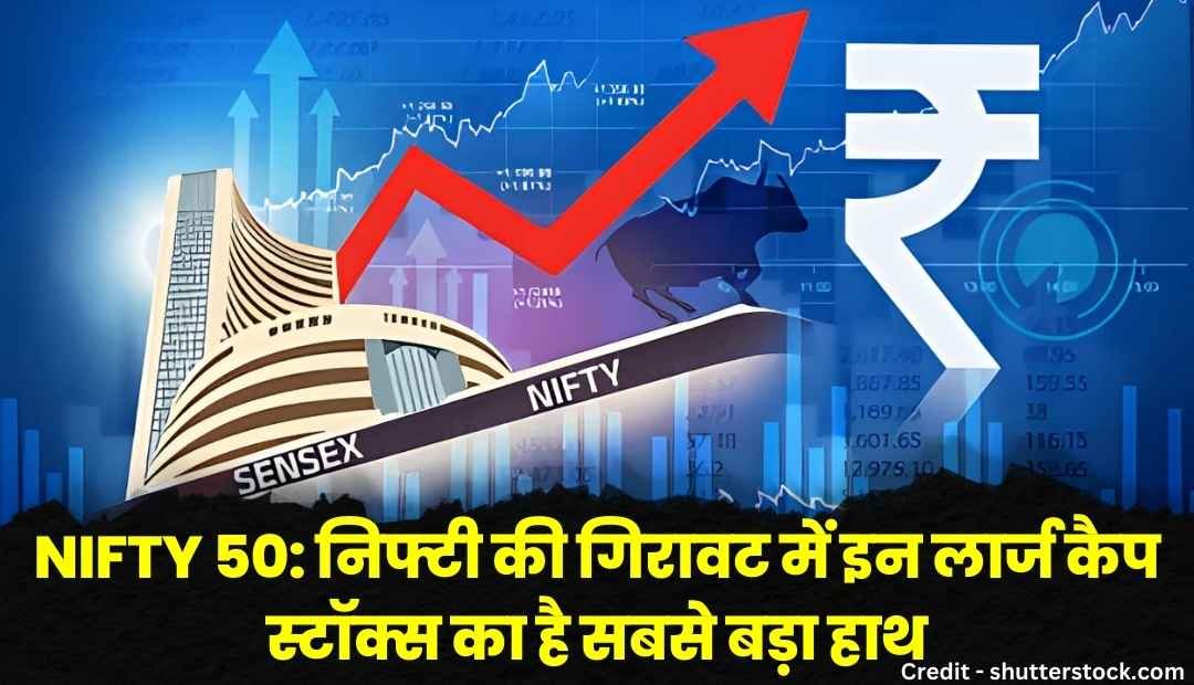 nifty 50 large cap stocks